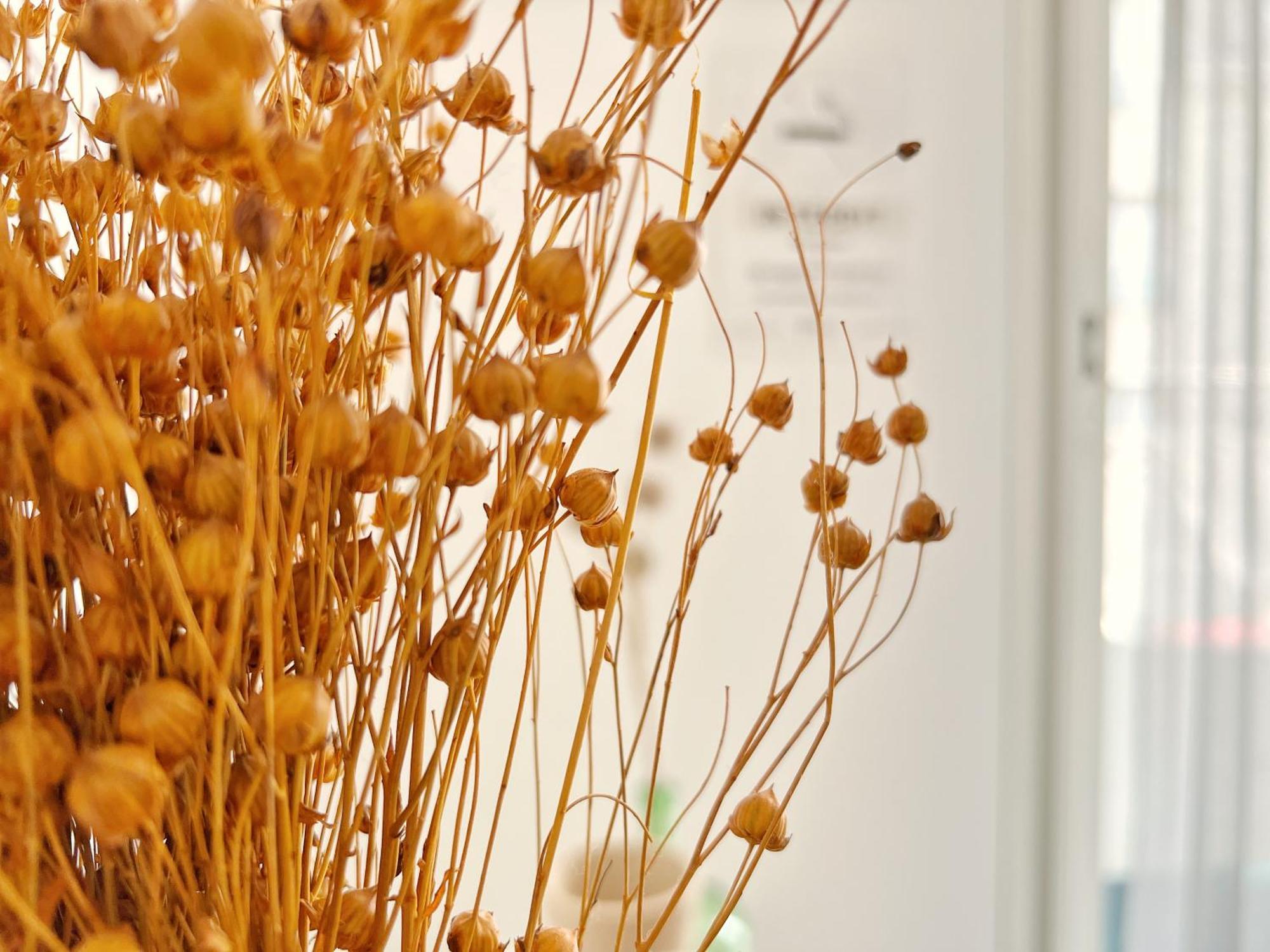 Le Viarm'Elite Apartment น็องต์ ภายนอก รูปภาพ